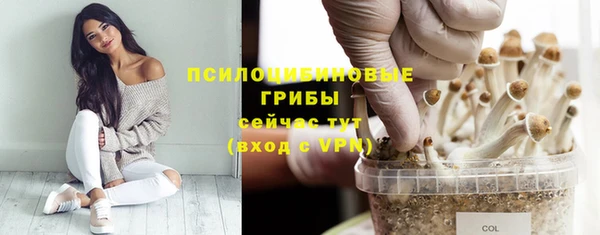 кристаллы Горно-Алтайск