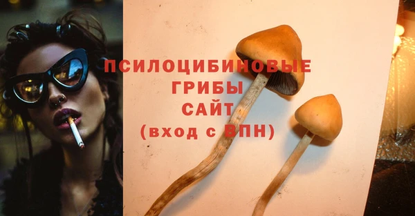 экстази Горняк