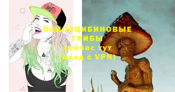 эйфоретик Горнозаводск