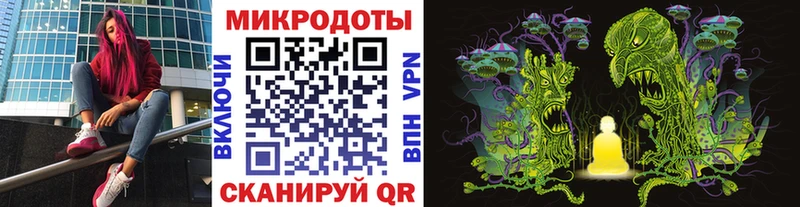 Купить  Ростов  Галлюциногенные грибы Psilocybine cubensis 